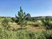 Terreno à venda, 1000 m² por R$ 700.000,00 Granja...