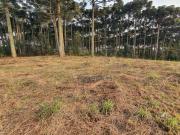 Terreno à venda, 1001 m² por R$ 770.000,00 Vila Fuck...