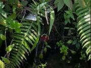 Terreno à venda, 110000 m² por R$ 1.500.000 Bairro do...