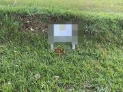 Terreno à venda, 1118 m² por R$ 320.000,00 Condomínio...