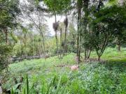 Terreno à venda, 1155 m² por R$ 340.000,00 Serra da...