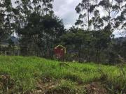 Terreno à venda, 11602 m² por R$ 680.000,00 Rio Preto...