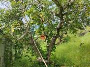 Terreno à venda, 1170 m² por R$ 148.000 Fazenda Aya...