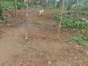 Terreno à venda, 1200 m² por R$ 195.000,00 Arariba...
