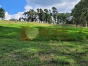 Terreno à venda, 1200 m² por R$ 243.800,00 Pavão...