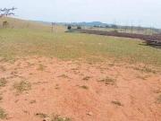 Terreno à venda, 1200 m² por R$ 300.000,00 Quinta dos...