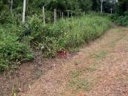 Terreno à venda, 1234 m² por R$ 150.000,00 Lagoinha...