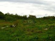 Terreno à venda, 13000 m² por R$ 296.000 Sitio São José... Terreno à venda, 13000 m² por R$ 296.000 Sitio São José...