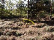 Terreno à venda, 1300 m² por R$ 120.000,00 Esmeralda... Terreno à venda, 1300 m² por R$ 120.000,00 Esmeralda...