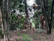 Terreno à venda, 1328 m² por R$ 4.480.000 Residencial...