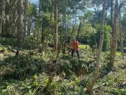 Terreno à venda, 1400 m² por R$ 100.000,00 Sítio Vale...