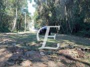 Terreno à venda, 1440 m² por R$ 270.000,00 Caraguatá...