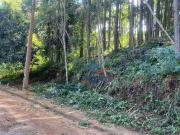 Terreno à venda, 1500 m² por R$ 190.000,00 Centro...