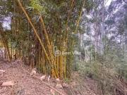 Terreno à venda, 1500 m² por R$ 3.200.000,00 Alphaville...