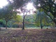 Terreno à venda, 1560 m² por R$ 300.000,00 Jardim Sao... Terreno à venda, 1560 m² por R$ 300.000,00 Jardim Sao...