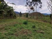 Terreno à venda 1605M², Goiabal, Pindamonhangaba SP