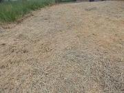 Terreno à venda, 160 m² por R$ 220.000,00 Loteamento...