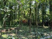 Terreno à venda, 1640 m² por R$ 425.000,00 Boiçucanga...