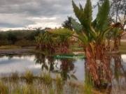 Terreno à venda, 1677 m² por R$ 330.000,00 Espelho D...