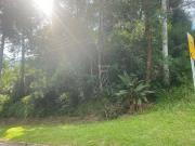 Terreno à venda, 1740 m² por R$ 2.650.000,00 Tamboré...