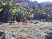 Terreno à venda, 1753 m² por R$ 395.000,00 Paiol Grande...