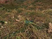 Terreno à venda, 182 m² por R$ 130.000 Jardim dos...