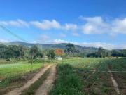 Terreno à venda, 194154 m² por R$ 11.649.240,00 Parque...