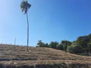 Terreno à venda 1.035,88 M² por R$ 110.000,00 Flores...