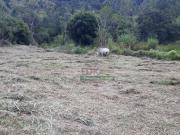 Terreno à venda, 20000 m² por R$ 230.000,00 Macuco...