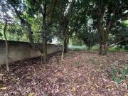 Terreno à venda, 2000 m² por R$ 420.000,00 Dois Córregos...