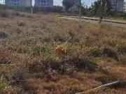 Terreno à venda, 200 m² por R$ 160.000 Setparque São...