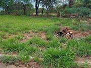 Terreno à venda, 200 m² por R$ 70.000,00 Bosque das...