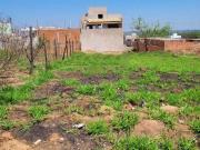 Terreno à venda, 210 m² por R$ 185.500,00 Jardim São...