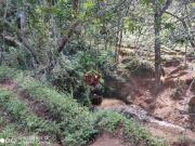 Terreno à venda, 21518 m² por R$ 473.000,00 Roça Grande... Terreno à venda, 21518 m² por R$ 473.000,00 Roça Grande...