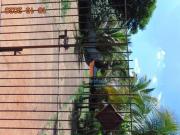 Terreno à venda, 2160 m² por R$ 1.590.000,00 Parque...