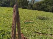 Terreno à venda, 2200 m² por R$ 230.000,00 Cunha Cunha/SP