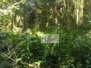 Terreno à venda, 2301 m² por R$ 215.000,00 Tijuco Preto...