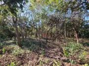 Terreno à venda 2500 m² Bairro Santa Cruz Mateus Leme/MG