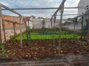 Terreno à venda, 250 m² por R$ 140.000,00 Jardim São...