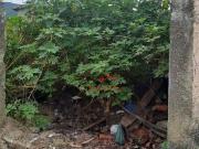 Terreno à venda, 250 m² por R$ 145.000,00 Massaguaçu...