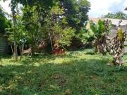 Terreno à venda, 250 m² por R$ 234.000 Vila Rica São...