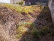 Terreno à venda, 250 m² por R$ 590.000,00 Parque...