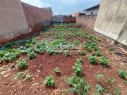 Terreno à venda 250M², Jardim Montecatini, Londrina PR