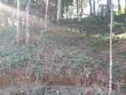 Terreno à venda, 270 m² por R$ 179.000,00 Barreiro...