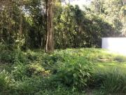 Terreno à venda, 293 m² por R$ 1.700.000,17 Tucuruvi São...