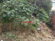 Terreno à venda, 298 m² por R$ 330.000,00 Jardim São...