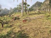 Terreno à venda, 3000 m² por R$ 318.000 Alto da Ponte...