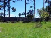 Terreno à venda, 3000 m² por R$ 3.000.000,00 Orleans...
