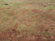 Terreno à venda, 300 m² por R$ 120.000,00 Distrito de...