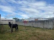 Terreno à venda, 300 m² por R$ 191.000 Balneário dos...